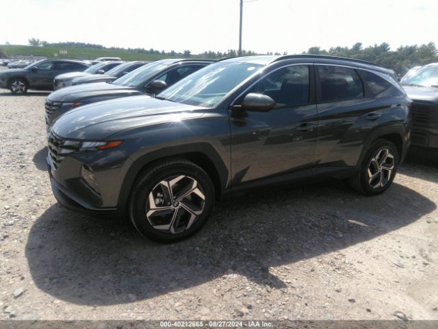 Photo 1 VIN: KM8JBDD24RU231065 - HYUNDAI TUCSON 