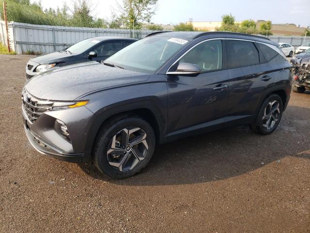 Photo 0 VIN: KM8JCCA17PU124902 - HYUNDAI TUCSON 