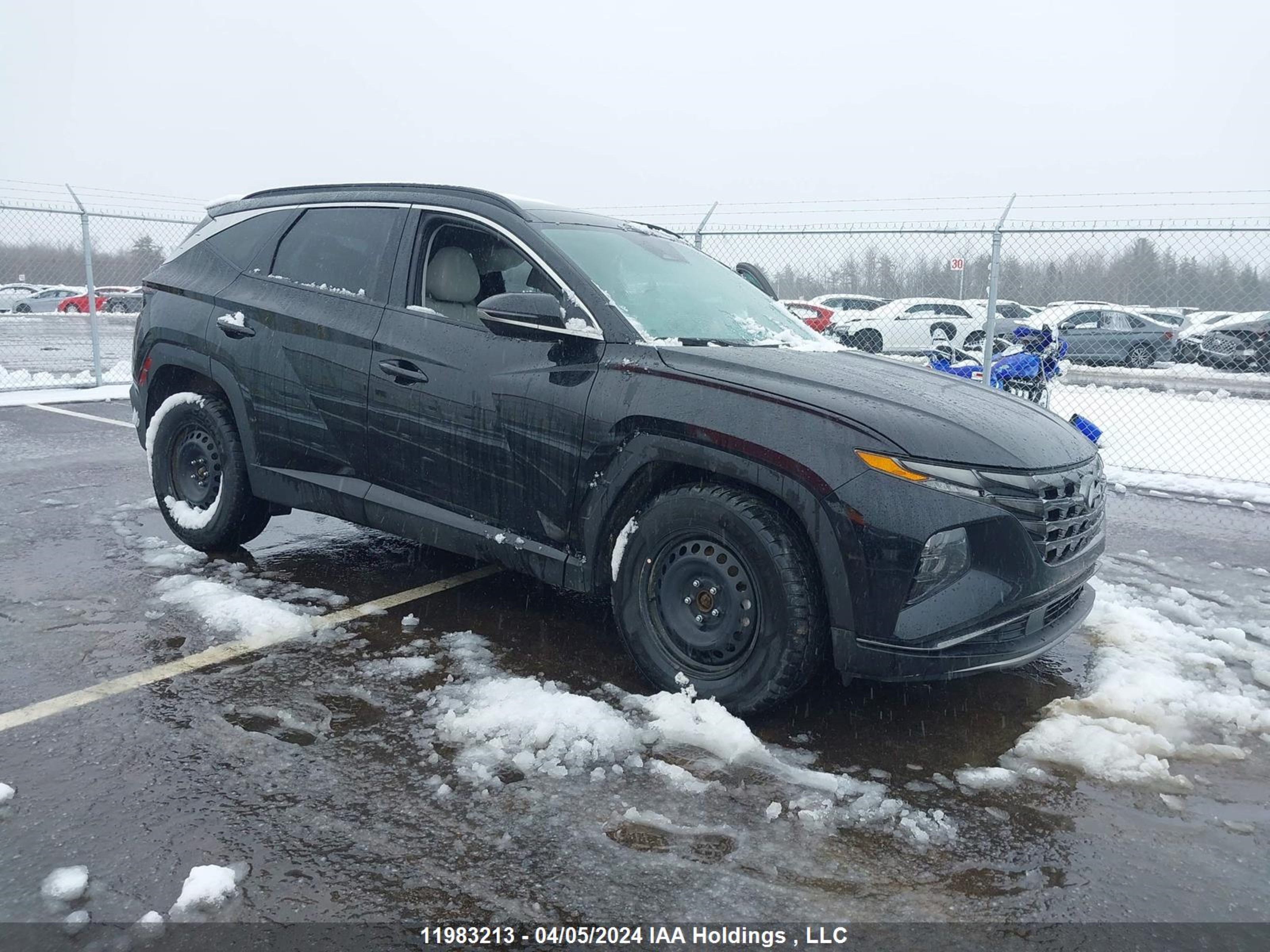 Photo 0 VIN: KM8JCCA18PU131521 - HYUNDAI TUCSON 