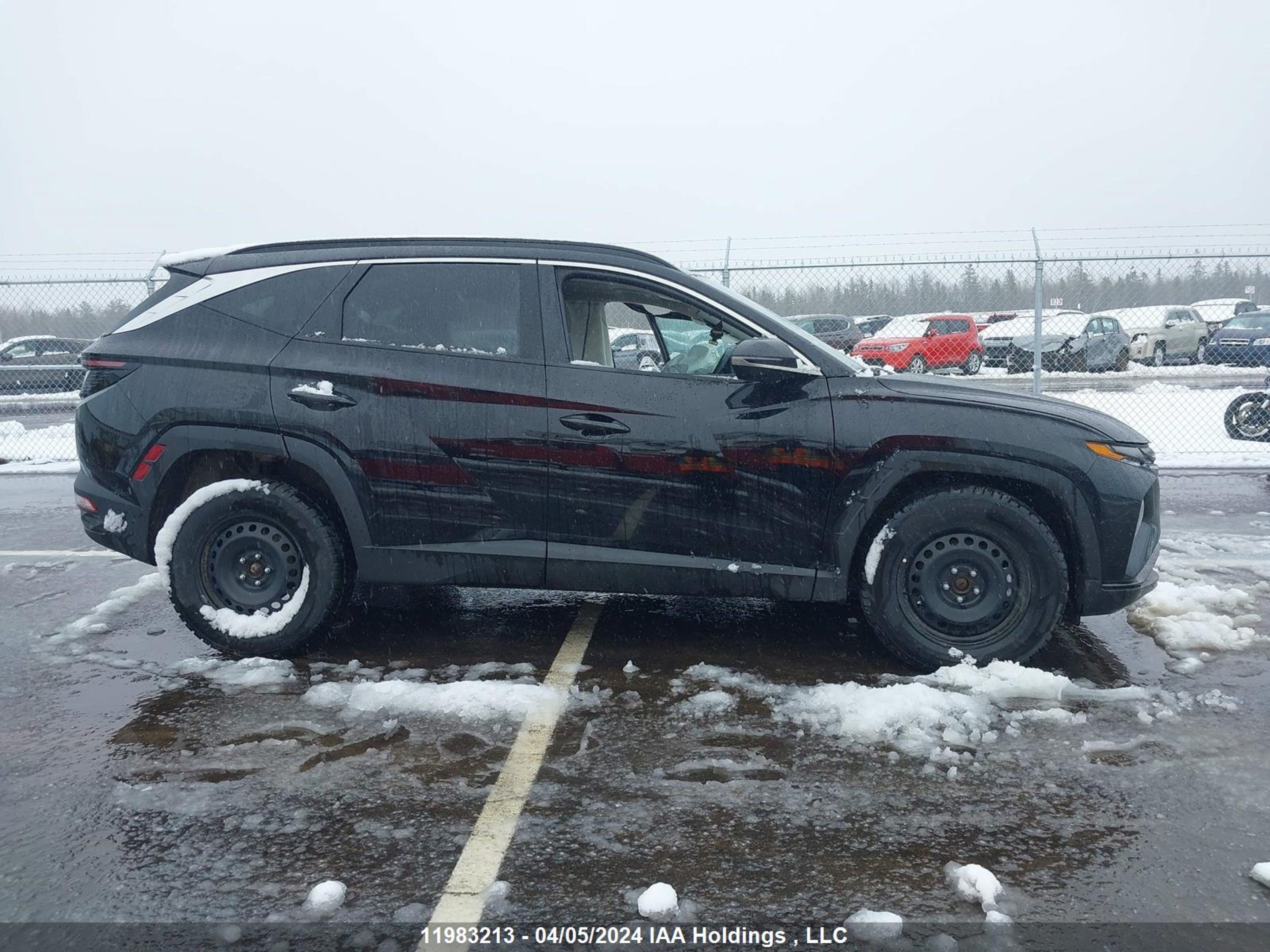 Photo 12 VIN: KM8JCCA18PU131521 - HYUNDAI TUCSON 