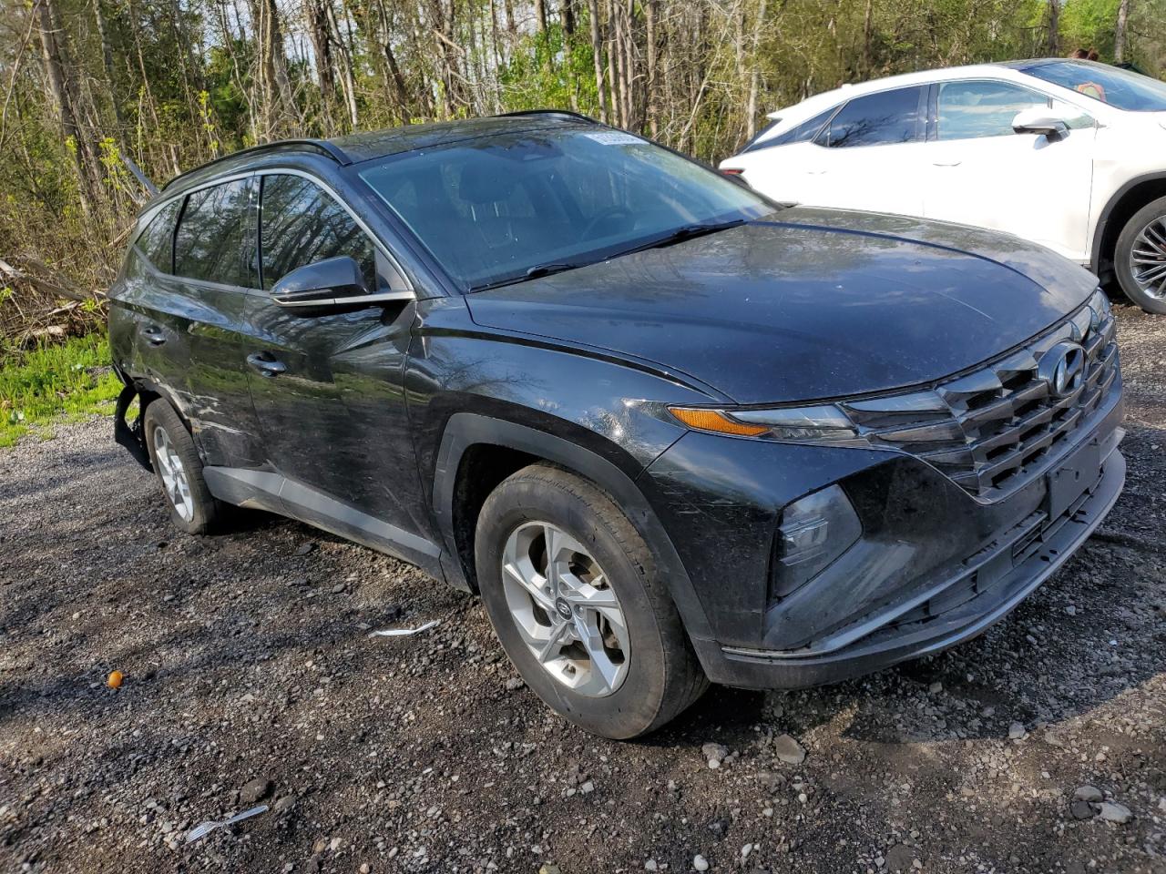 Photo 3 VIN: KM8JCCAE0NU099681 - HYUNDAI TUCSON 