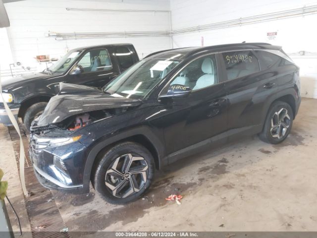 Photo 1 VIN: KM8JCCD10RU163099 - HYUNDAI TUCSON HYBRID 