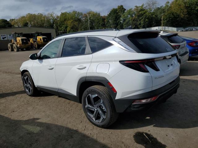 Photo 1 VIN: KM8JCCD11RU190232 - HYUNDAI TUCSON SEL 