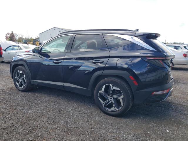 Photo 1 VIN: KM8JDDA29NU061875 - HYUNDAI TUCSON LUX 