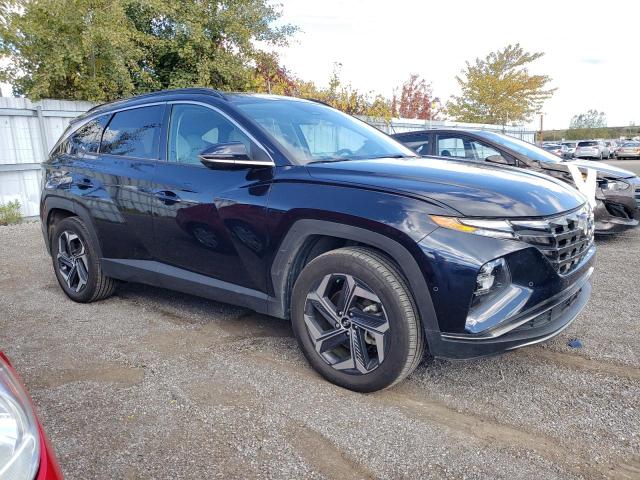 Photo 3 VIN: KM8JDDA29NU061875 - HYUNDAI TUCSON LUX 