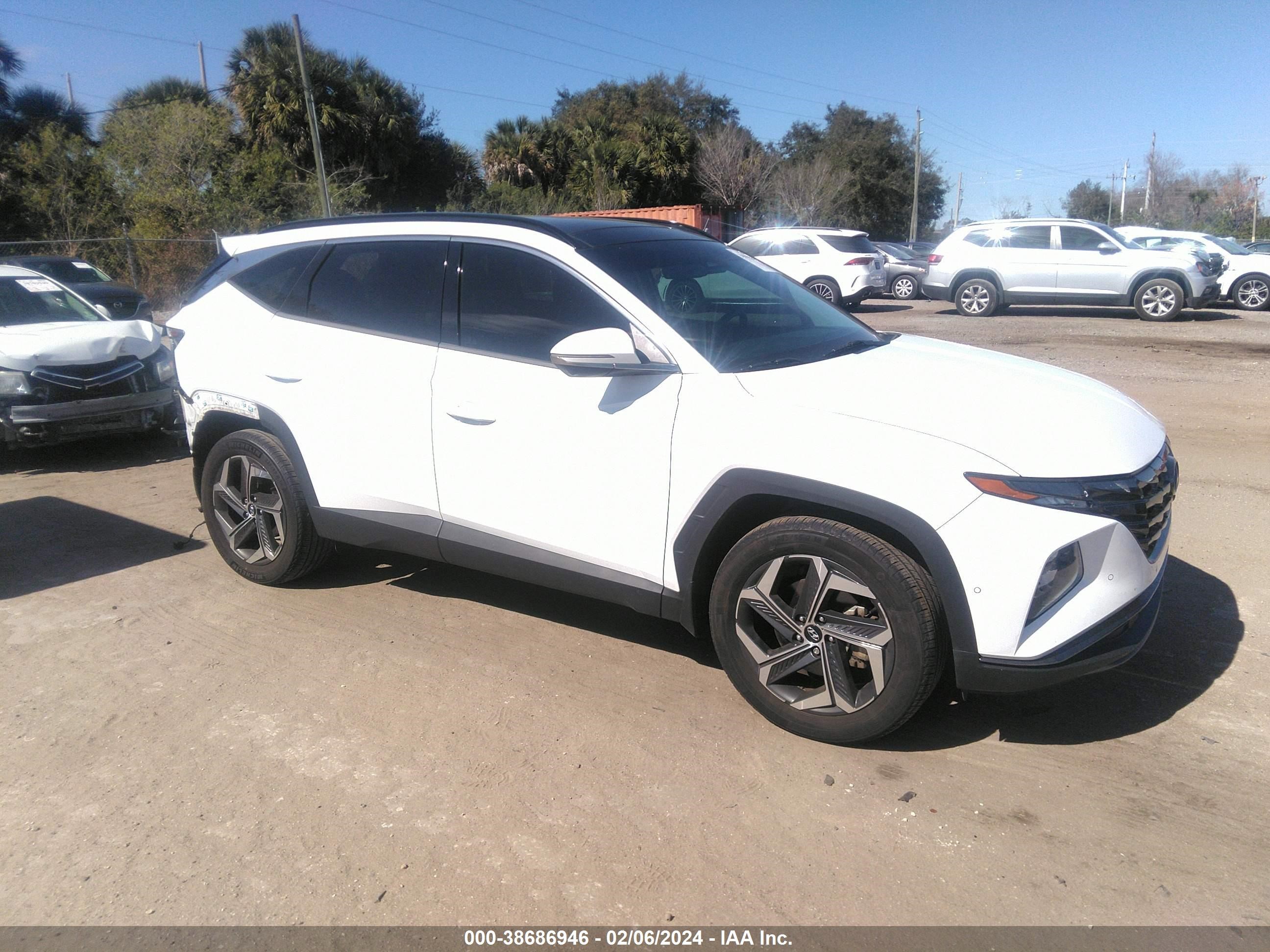 Photo 12 VIN: KM8JECA12NU031812 - HYUNDAI TUCSON 