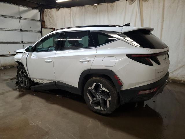 Photo 1 VIN: KM8JECA12NU037724 - HYUNDAI TUCSON 