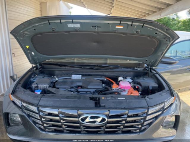 Photo 9 VIN: KM8JFCA12PU088768 - HYUNDAI TUCSON HYBRID 