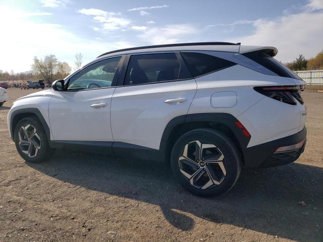 Photo 1 VIN: KM8JFCA15NU051131 - HYUNDAI TUCSON SEL 