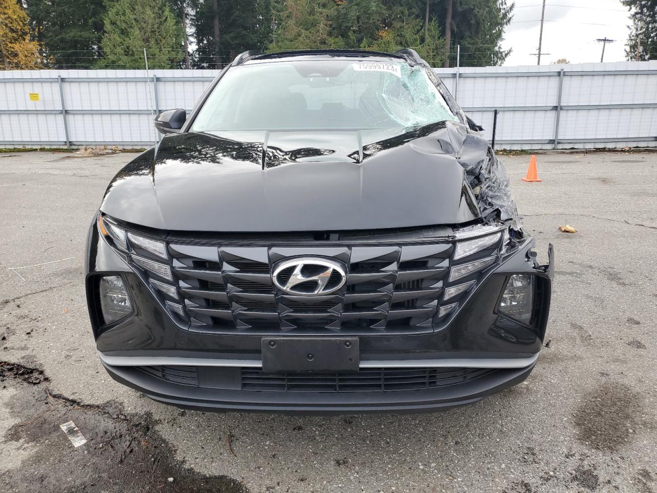 Photo 4 VIN: KM8JFCA17NU036887 - HYUNDAI TUCSON 