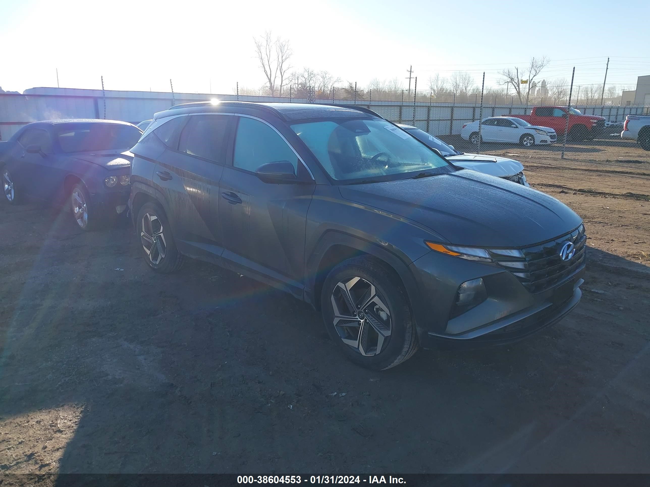 Photo 0 VIN: KM8JFCA19PU096172 - HYUNDAI TUCSON 