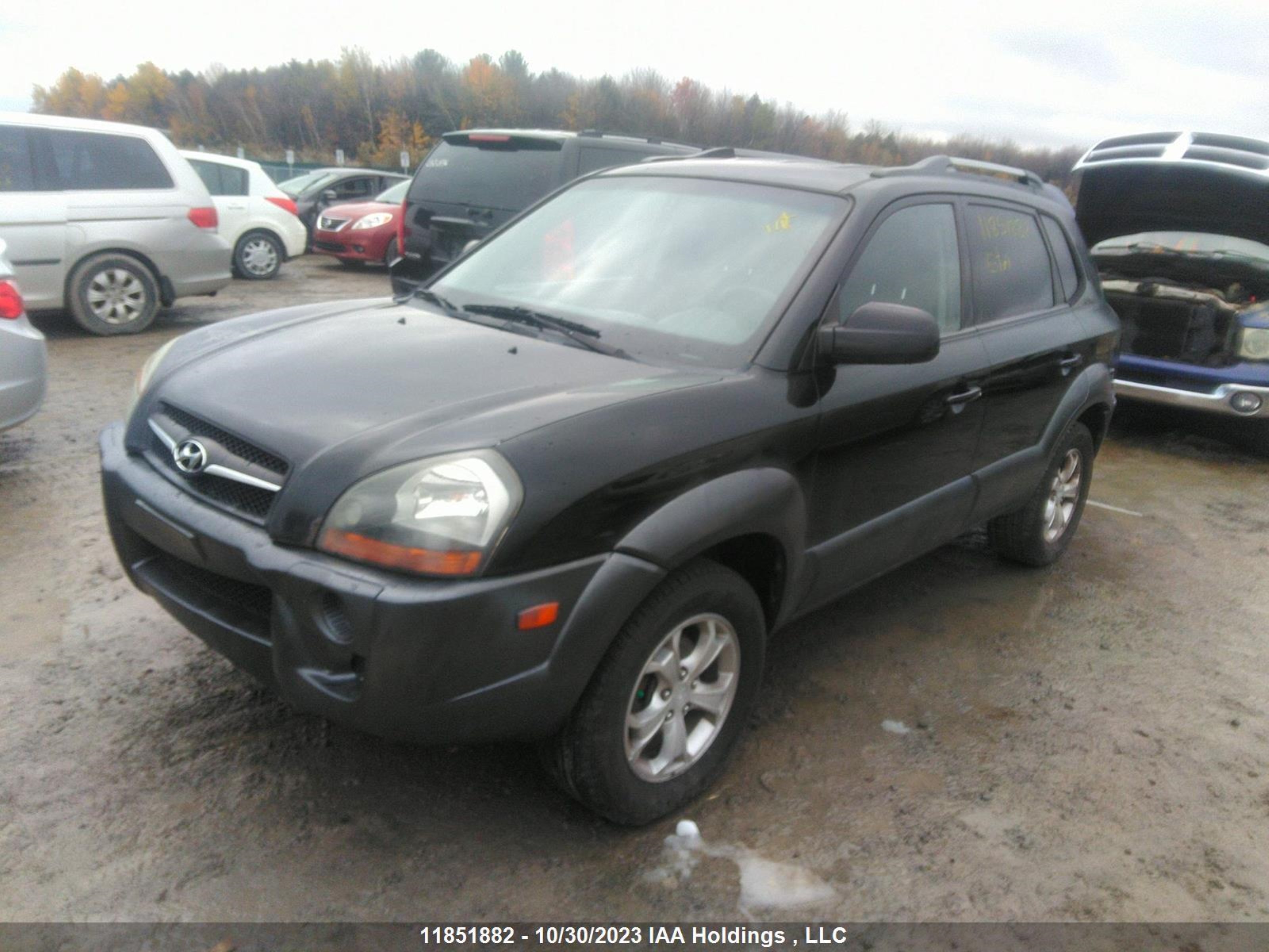 Photo 1 VIN: KM8JM12D89U162488 - HYUNDAI TUCSON 