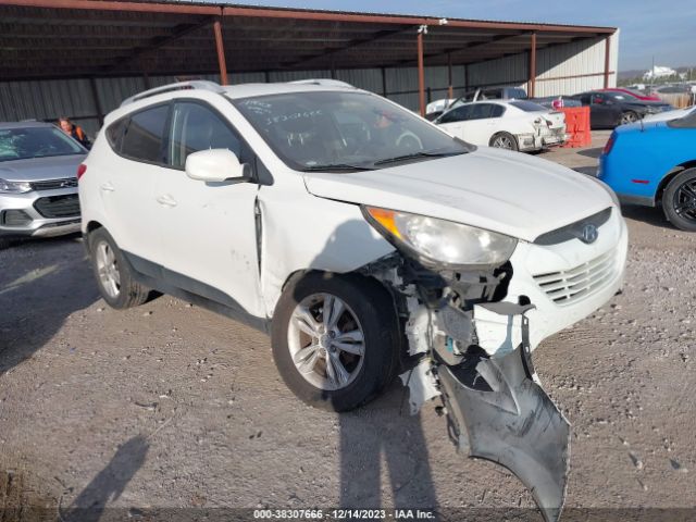 Photo 0 VIN: KM8JU3AC2AU096321 - HYUNDAI TUCSON 