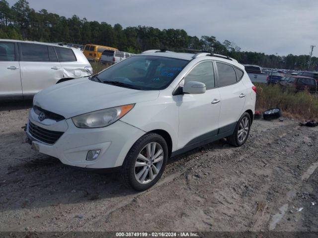 Photo 1 VIN: KM8JU3AC3DU573973 - HYUNDAI TUCSON 