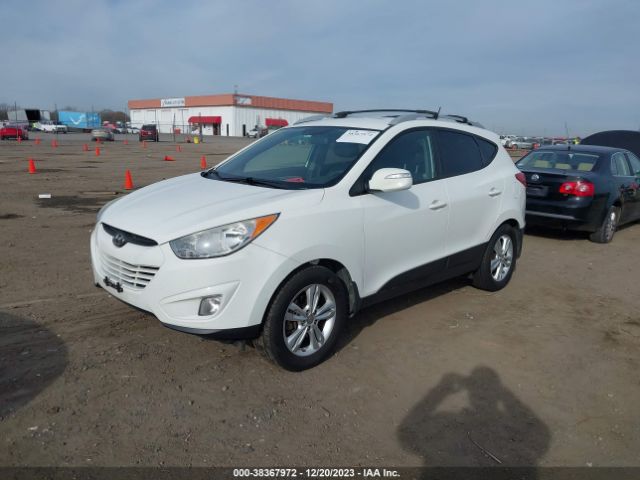 Photo 1 VIN: KM8JU3AC3DU669490 - HYUNDAI TUCSON 