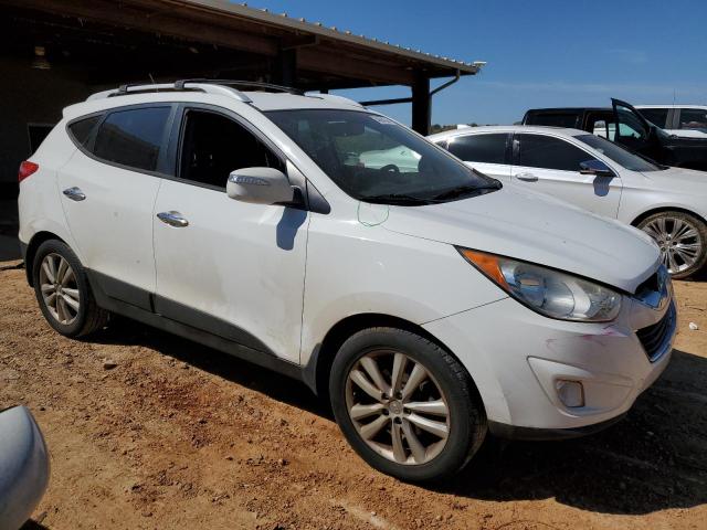 Photo 3 VIN: KM8JU3AC4DU707292 - HYUNDAI TUCSON 