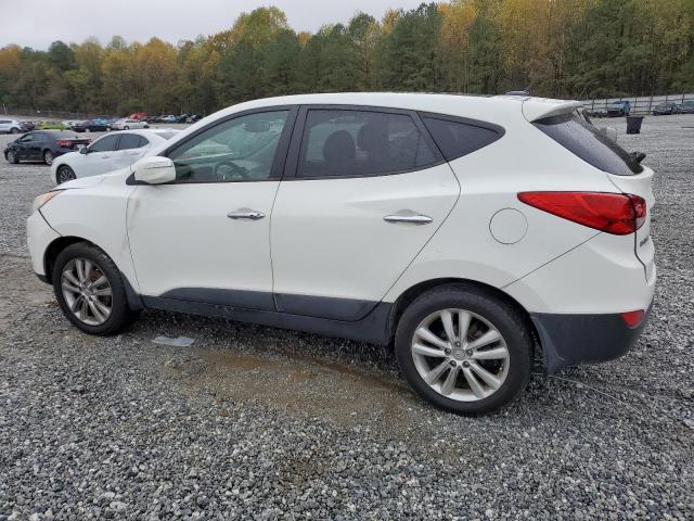 Photo 1 VIN: KM8JU3AC5DU548783 - HYUNDAI TUCSON GLS 