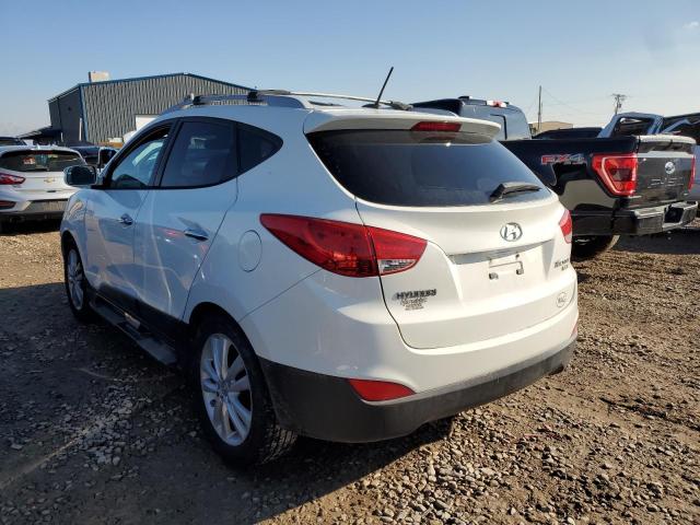 Photo 1 VIN: KM8JU3AC5DU589740 - HYUNDAI TUCSON 