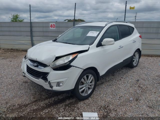 Photo 1 VIN: KM8JU3AC5DU675243 - HYUNDAI TUCSON 