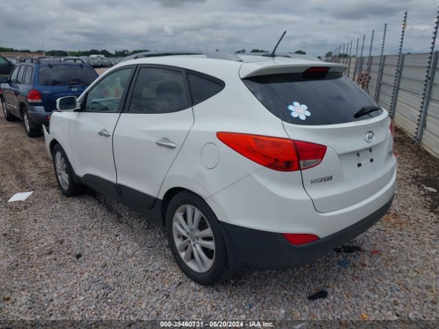 Photo 2 VIN: KM8JU3AC5DU675243 - HYUNDAI TUCSON 