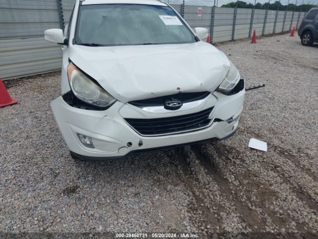 Photo 5 VIN: KM8JU3AC5DU675243 - HYUNDAI TUCSON 