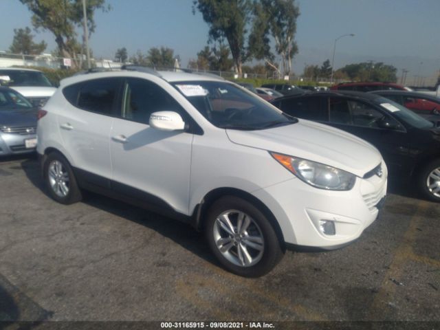 Photo 0 VIN: KM8JU3AC5DU685920 - HYUNDAI TUCSON 