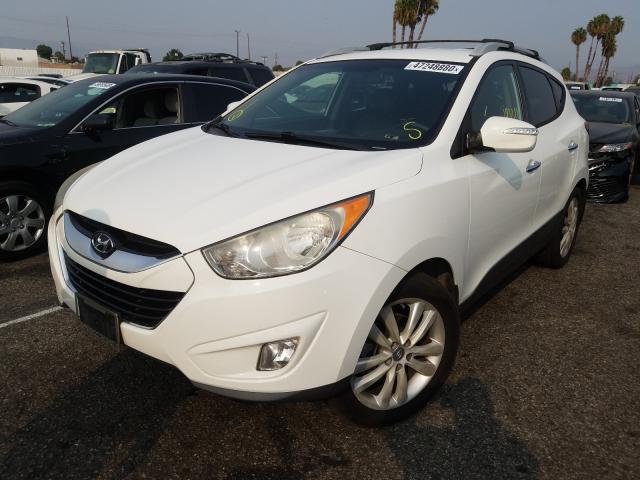 Photo 1 VIN: KM8JU3AC5DU685996 - HYUNDAI TUCSON GLS 