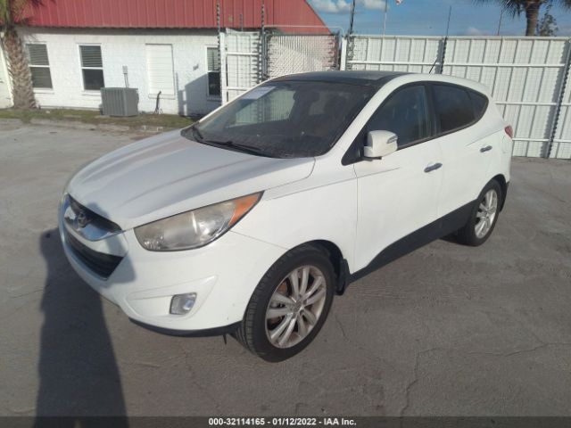 Photo 1 VIN: KM8JU3AC6DU616413 - HYUNDAI TUCSON 