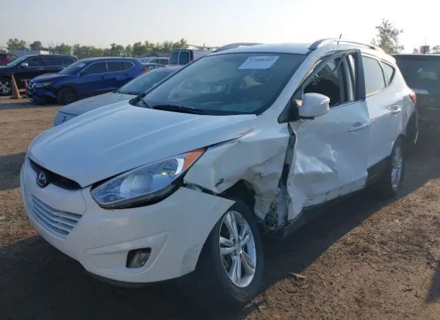 Photo 5 VIN: KM8JU3AC6DU773648 - HYUNDAI TUCSON 