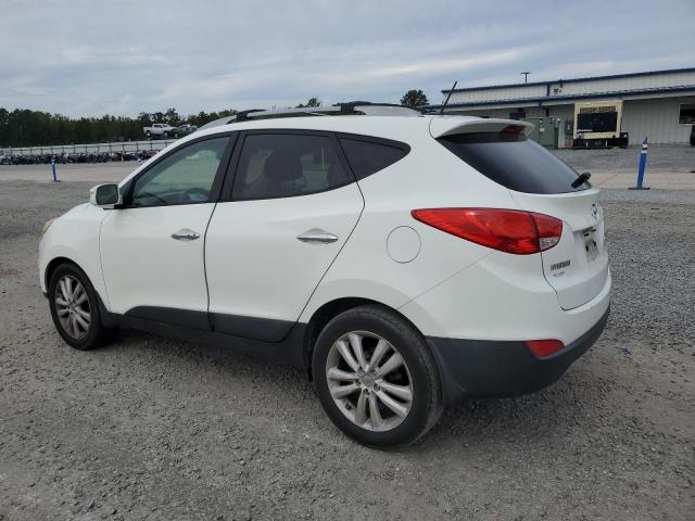 Photo 1 VIN: KM8JU3AC7DU548610 - HYUNDAI TUCSON GLS 