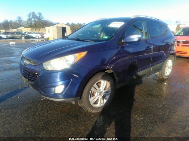 Photo 1 VIN: KM8JU3AC8DU622990 - HYUNDAI TUCSON 