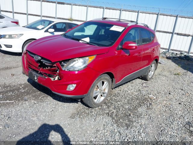 Photo 1 VIN: KM8JU3AC9DU660065 - HYUNDAI TUCSON 