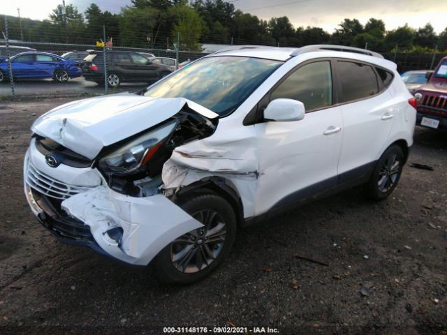 Photo 1 VIN: KM8JU3AG2FU953103 - HYUNDAI TUCSON 