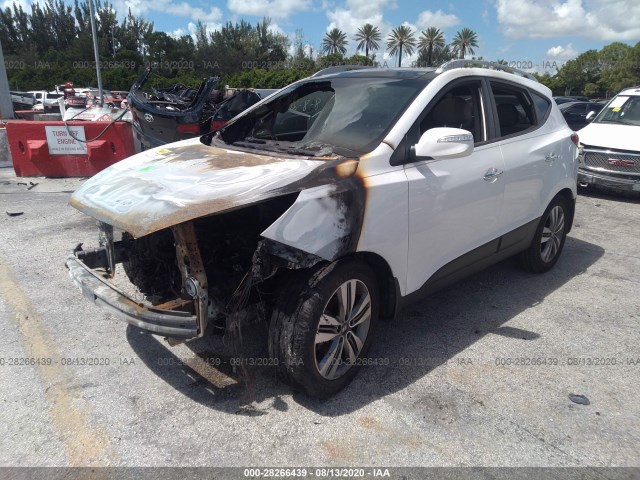 Photo 1 VIN: KM8JU3AG3EU804004 - HYUNDAI TUCSON 