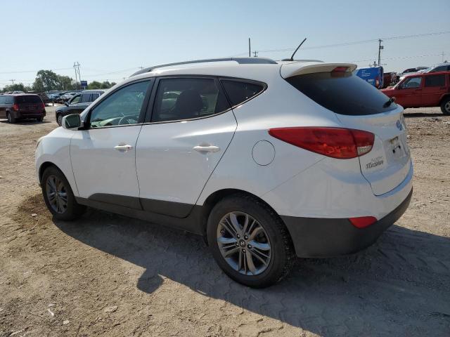 Photo 1 VIN: KM8JU3AG9FU065142 - HYUNDAI TUCSON 