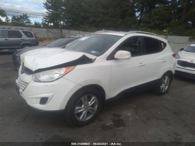 Photo 1 VIN: KM8JUCAC1CU420393 - HYUNDAI TUCSON 