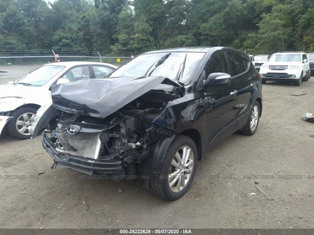 Photo 1 VIN: KM8JUCAC2DU560406 - HYUNDAI TUCSON 