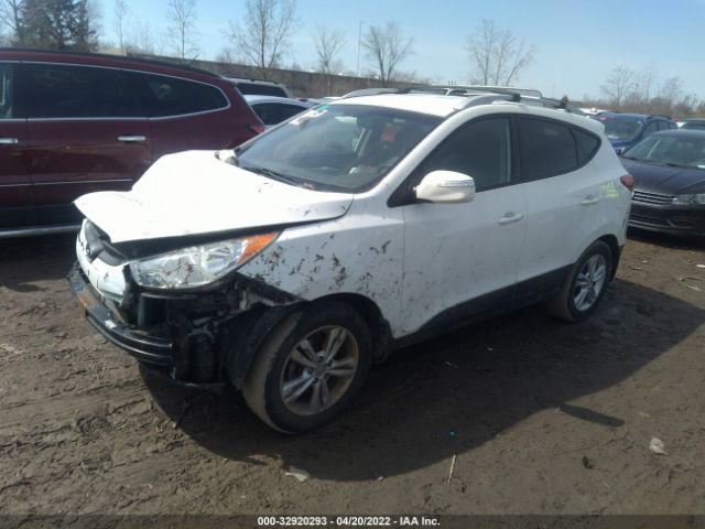 Photo 1 VIN: KM8JUCAC2DU603691 - HYUNDAI TUCSON 