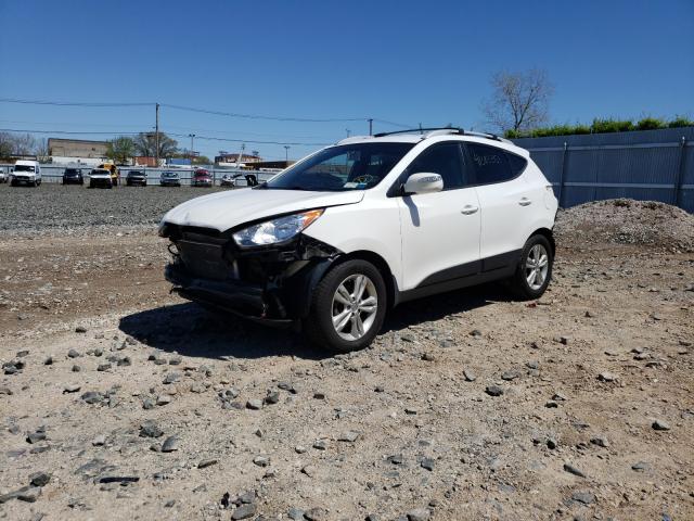 Photo 1 VIN: KM8JUCAC4DU695385 - HYUNDAI TUCSON GLS 