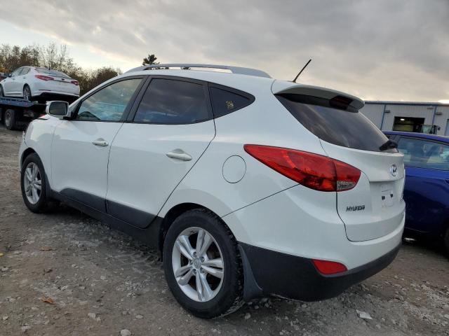 Photo 1 VIN: KM8JUCAC5DU565597 - HYUNDAI TUCSON 