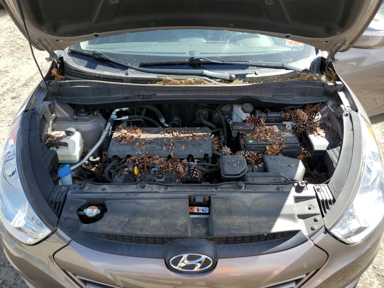 Photo 11 VIN: KM8JUCAC5DU710945 - HYUNDAI TUCSON 