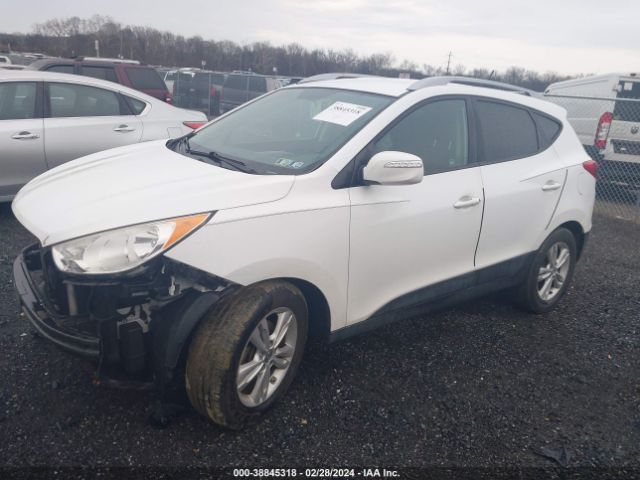 Photo 1 VIN: KM8JUCAC6DU763959 - HYUNDAI TUCSON 