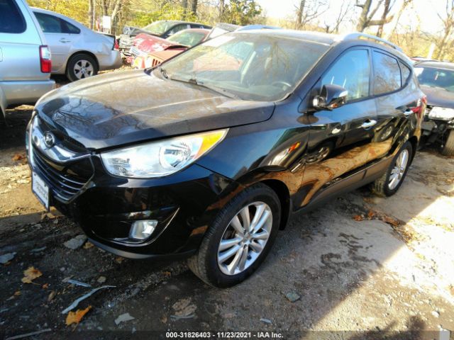 Photo 1 VIN: KM8JUCAC7DU709313 - HYUNDAI TUCSON 