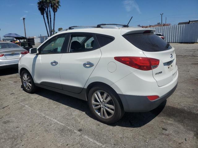 Photo 1 VIN: KM8JUCAC8AU021199 - HYUNDAI TUCSON 