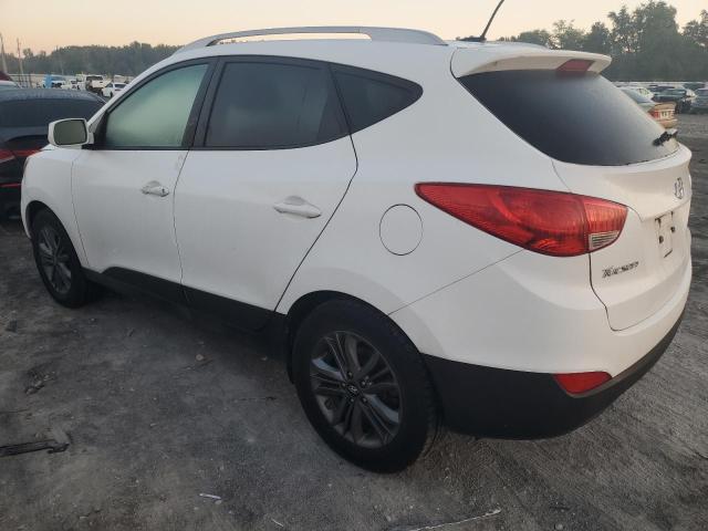 Photo 1 VIN: KM8JUCAG1FU105200 - HYUNDAI TUCSON LIM 