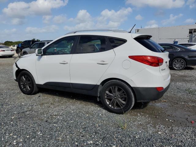 Photo 1 VIN: KM8JUCAG2FU073163 - HYUNDAI TUCSON LIM 