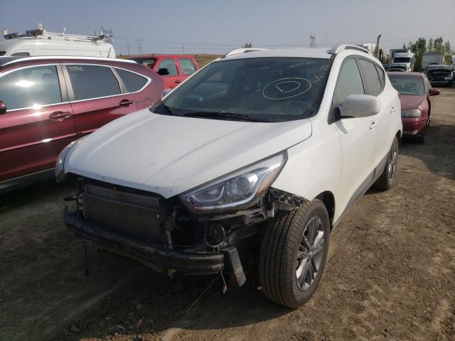 Photo 1 VIN: KM8JUCAG5FU099143 - HYUNDAI TUCSON LIM 