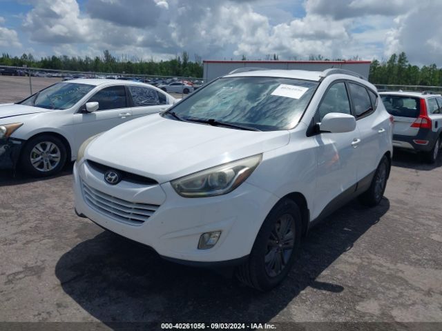 Photo 1 VIN: KM8JUCAG9FU954801 - HYUNDAI TUCSON 