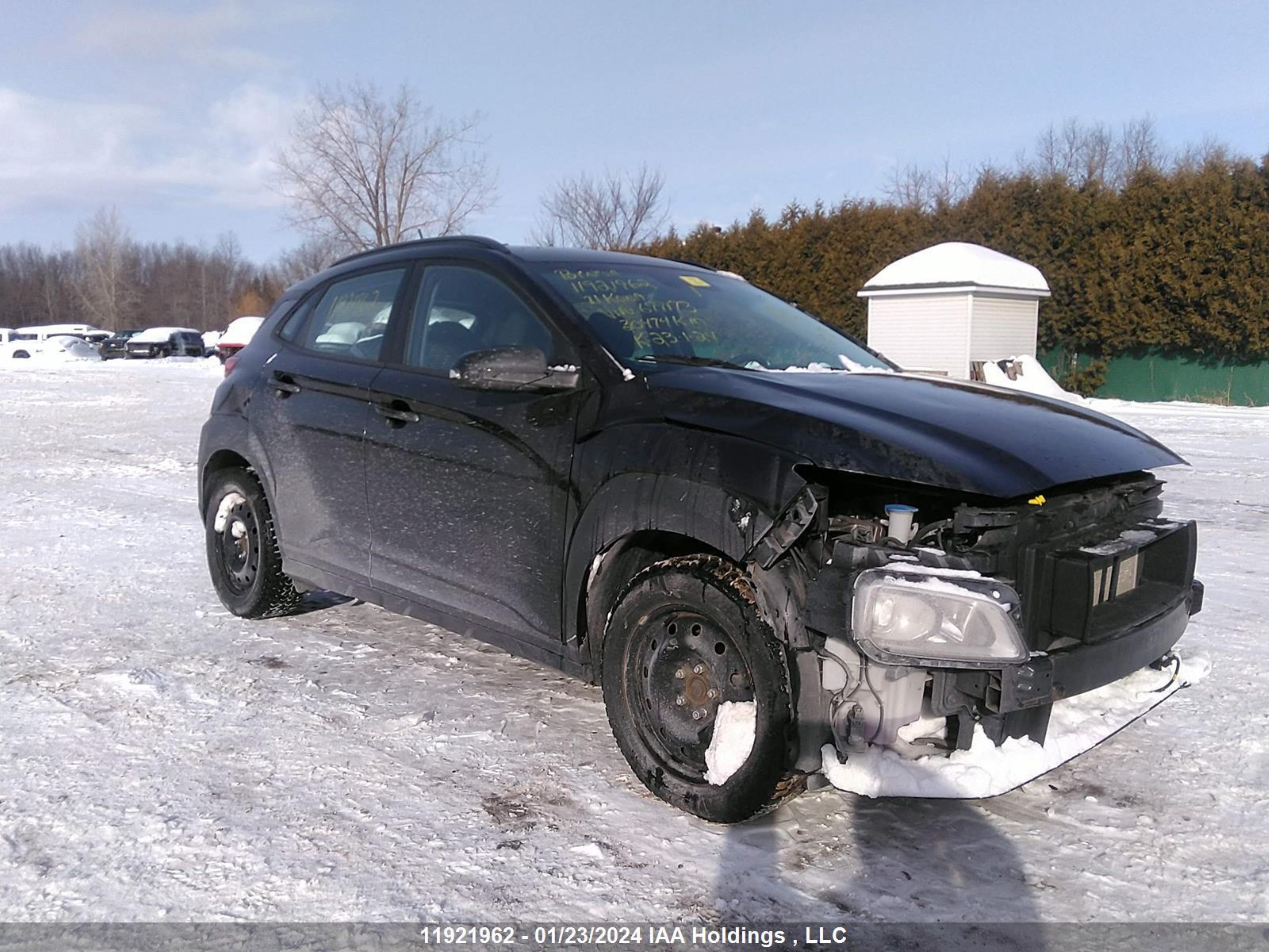 Photo 0 VIN: KM8K12AA1MU699173 - HYUNDAI KONA 