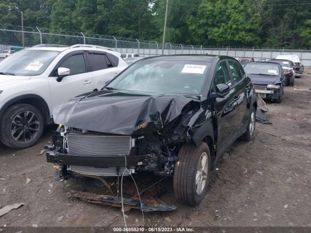 Photo 5 VIN: KM8K22AB0PU025218 - HYUNDAI KONA 